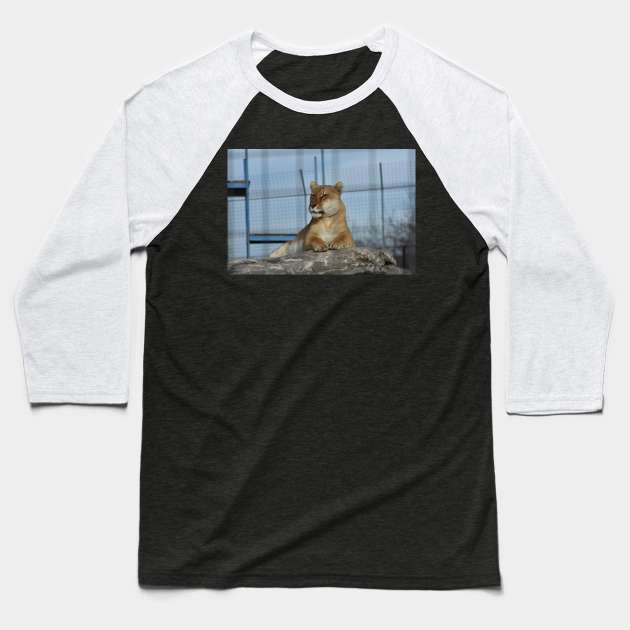 Liger Baseball T-Shirt by MarieDarcy